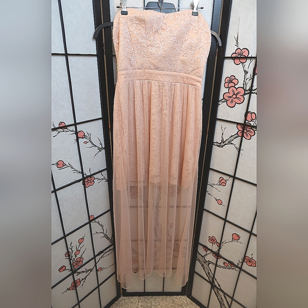 Wishes Powder Pink Strapless Lacey Dress Floral Embelliahments Long Outer Tulle